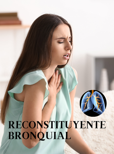 Productos de la web (14)