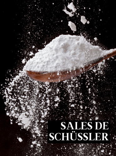 Productos de la web (22)